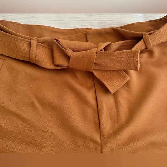 Nine West Large Womens Brown High Waist Shorts 3.5 inseam with Belt - Picture 4 of 6